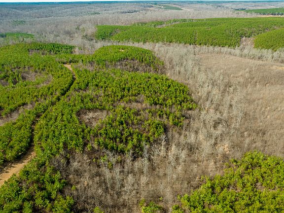 2nd image of 0 State Line Rd