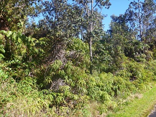 3rd image of Nahelenani St Lot 513