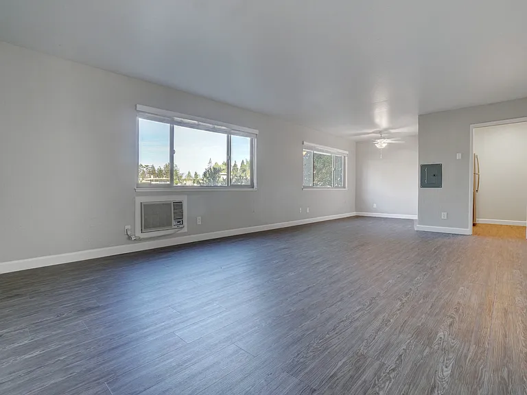 234 Escuela Ave — Photo 11