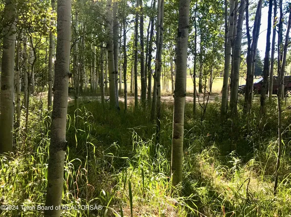 16 Walnut Dr, Thayne, WY 83127