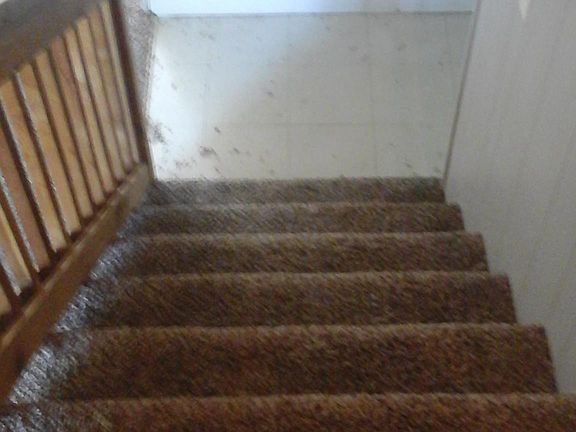 2nd image of 667 Santa Fe St