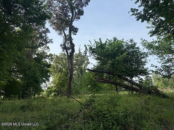 3rd image of LOT 1 Slocum Rd
