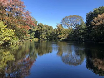 Rented by Space Real Estate