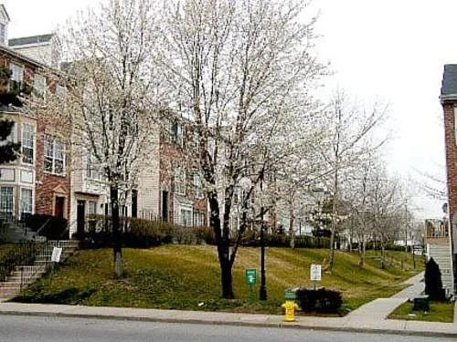 37 Howard Court3 Master — Photo 9