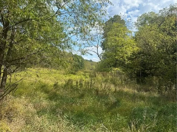 0 Waynesburg Rd, West Alexander, PA 15376