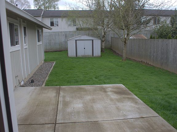 back yard