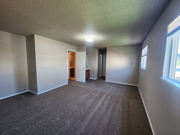 982_daffodil_c_08142024