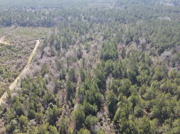 Tiger Bend Rd Lot Wp001, Marion, LA 71260