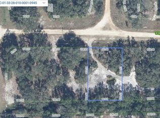 3057 W Woodbridge Rd, Avon Park, FL 33825