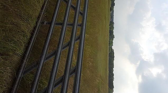 Lovely 13.177 acres located in the heart of Lexinton, Tx. Call this your land!! This 13.177 acres is