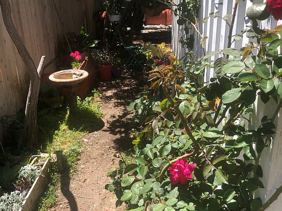 3rd image of 3792 28th St #1
