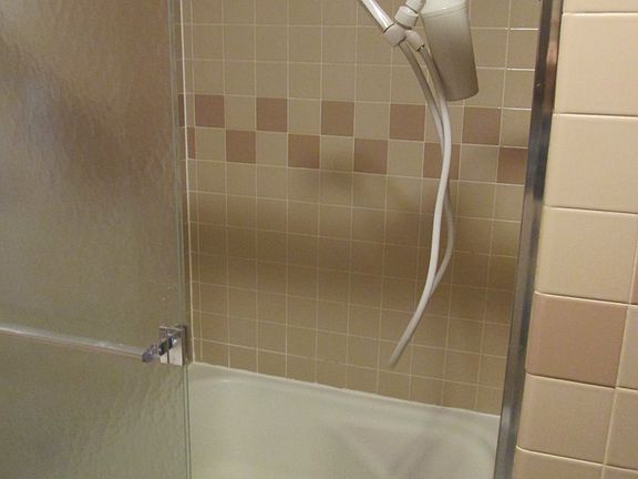 Main Bathroom Shower