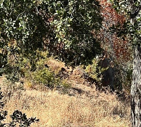 3rd image of 0 Thunderhill Ln Lot 331