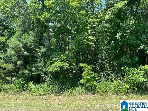 2nd image of 32 Oak Forest Cir
