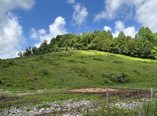 0 Ivanhoe Rd, Bristol, VA 24202