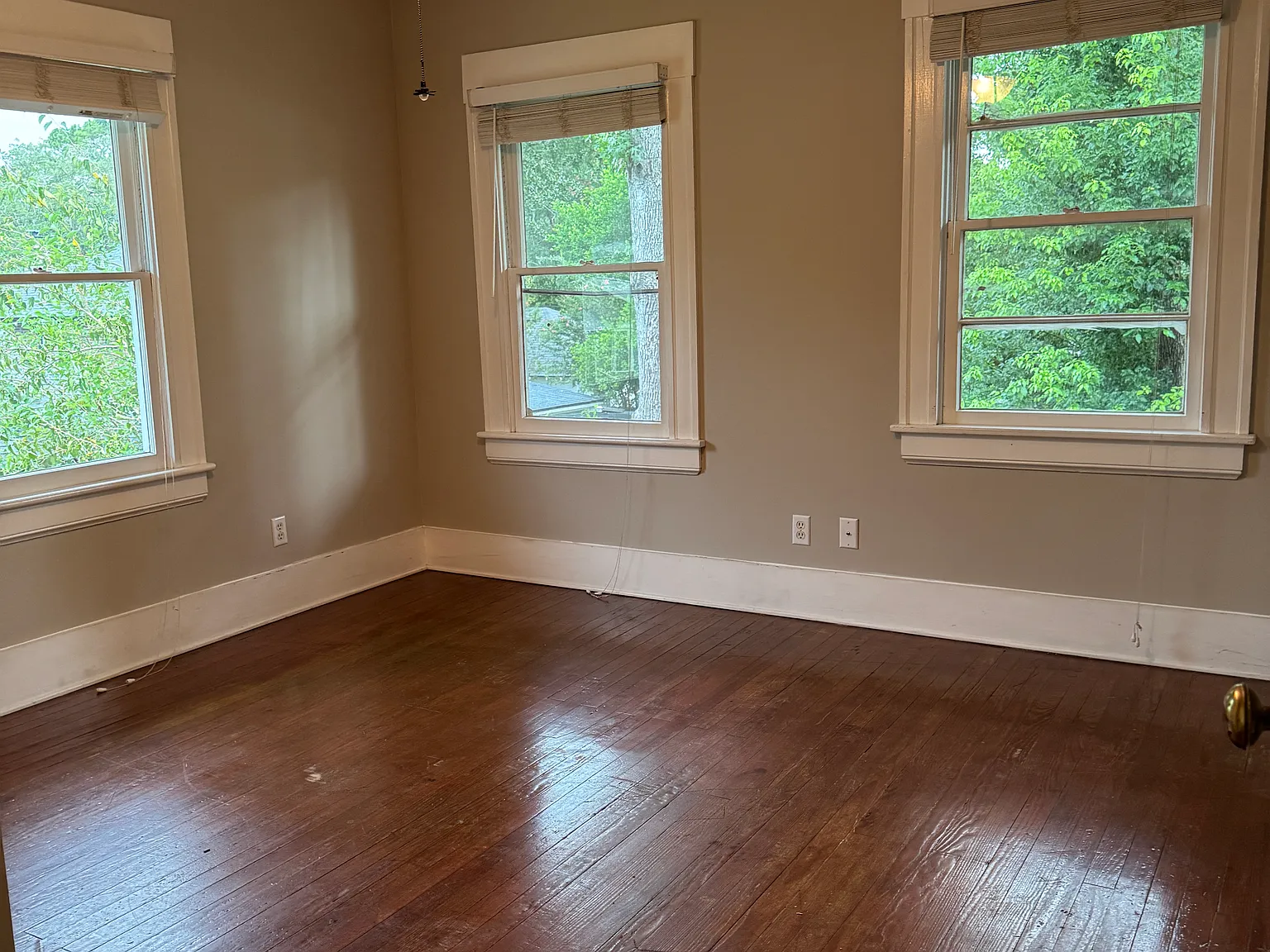 1 bed, 750 sqft, $1,600 — Photo 2