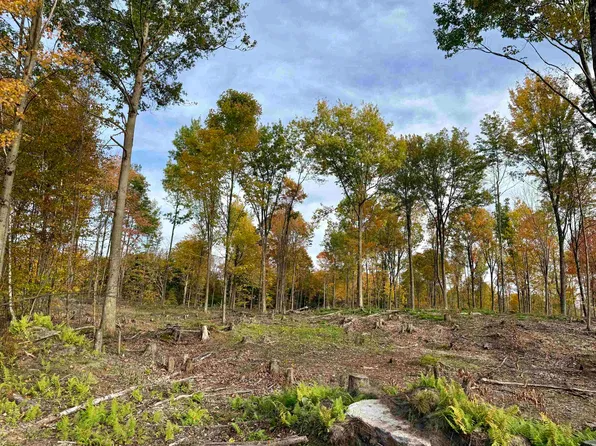 Pumpkin Hill Rd Lot 6, Potsdam, NY 13676