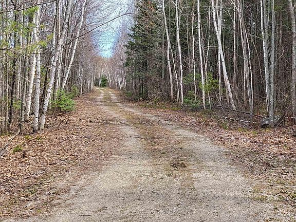 3rd image of xx80 Pelican River Forest Road
