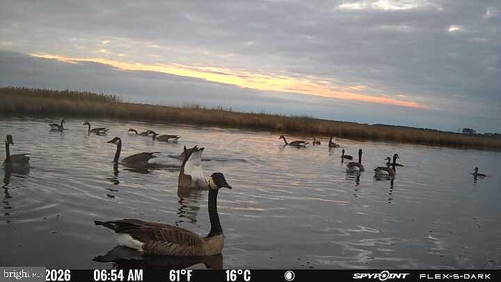 1st image of 3241 Robbins Rd