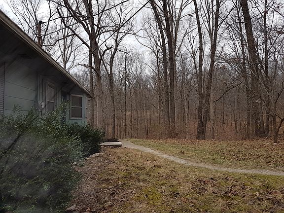 Surrounded by forest