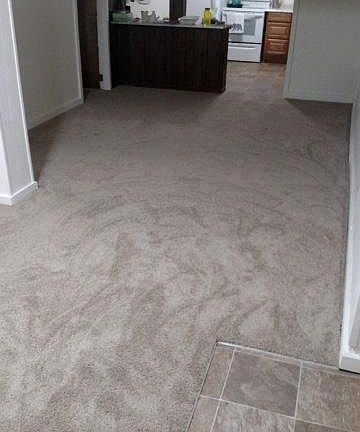Large living room looking into kitchen. New flooring.