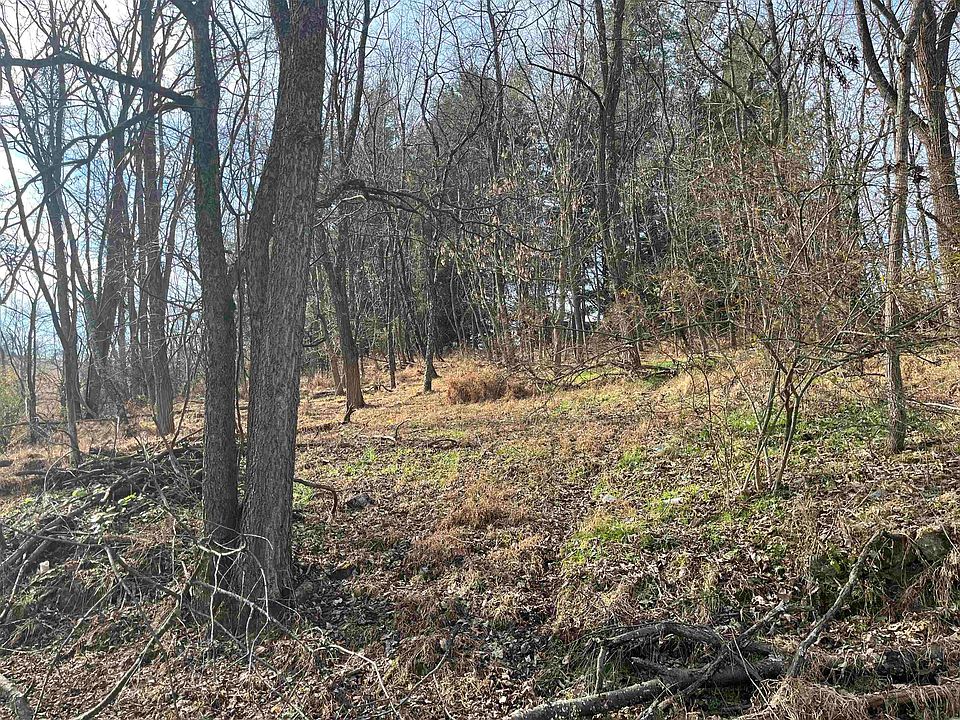 2nd image of Buttermilk Spring Rd