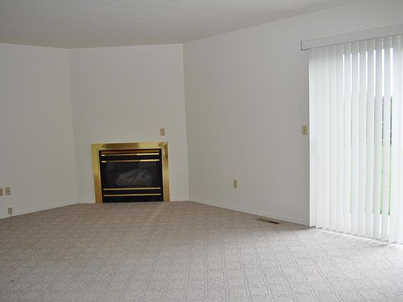 Living room/gas log/gas start fireplace