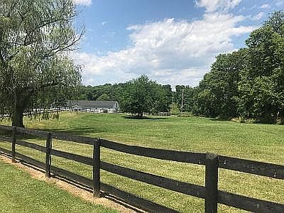 Front pasture