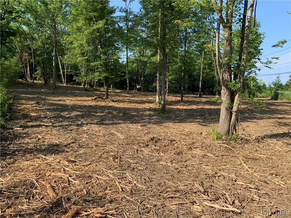 8393 Southwestern Blvd #20, Angola, NY 14006