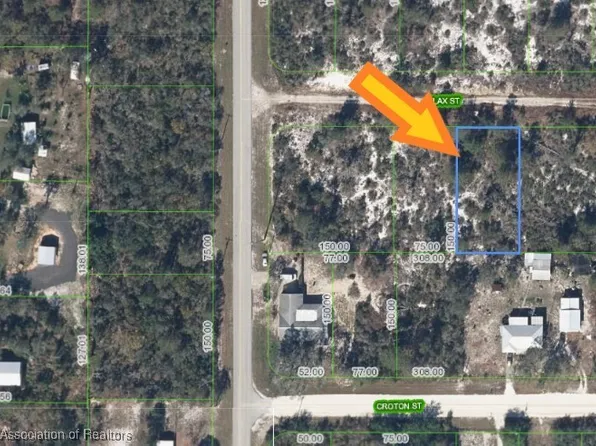 1007 Flax St, Lake Placid, FL 33852
