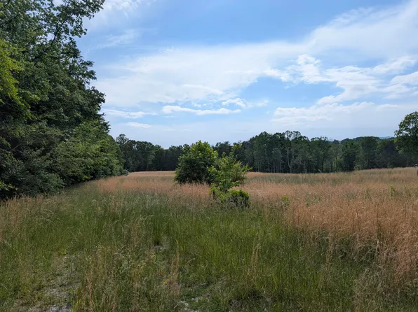 1615 Burdette Rd, Grandview, TN 37337