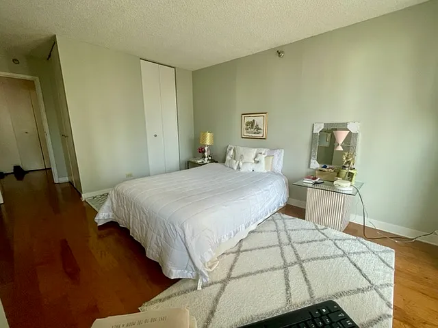 200 N Dearborn St #3005 — Photo 11