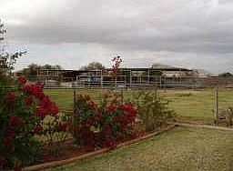Back pasture with stalls