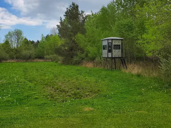 Phipps Rd, Carsonville, MI 48419