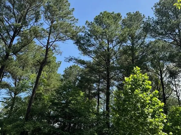 49 Blue Maple Trl Lot 186, Broken Bow, OK 74728