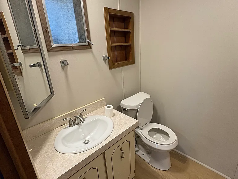 Master bathroom, new walk-in shower, new toilet, new sink