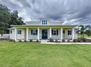 13520 Grand Blossom Ct, Dover, FL 33527