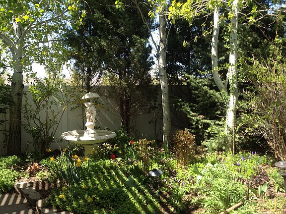 Back Yard Garden