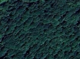 1 Hungry Hollow Rd SE LOT 1, Cleveland, TN 37323