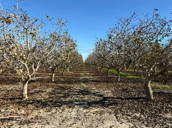 28000 W Jayne Ave, Coalinga, CA 93210