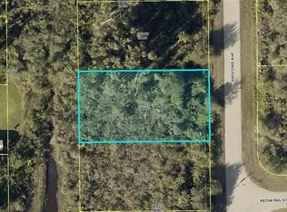 354 Radford Ave, Lehigh Acres, FL 33974