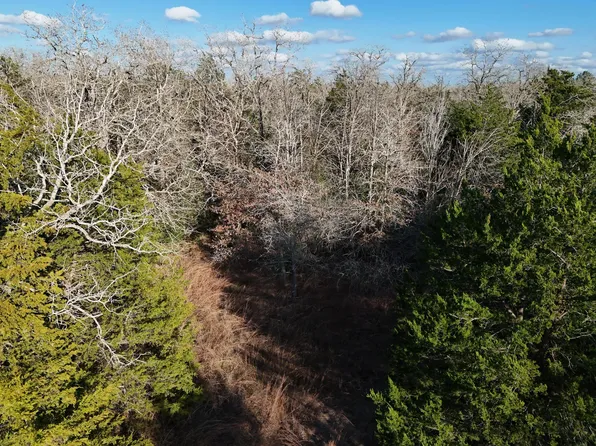 8 Old Potato Rd, Paige, TX 78659