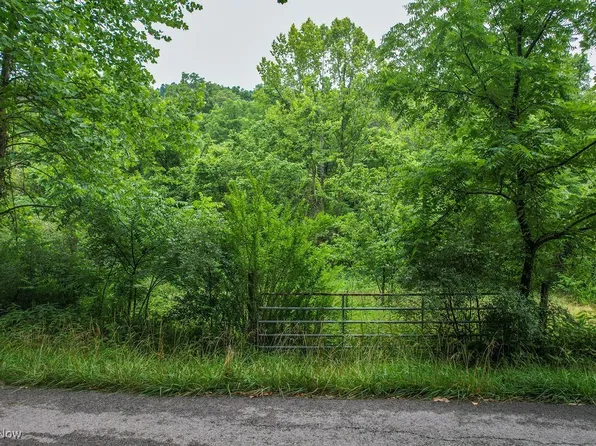 11329 Gillespie Run Rd, Petroleum, WV 26161