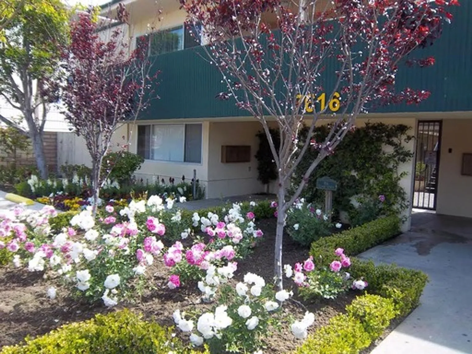 Classic Apts - Stella-Mae, LLC — Photo 2