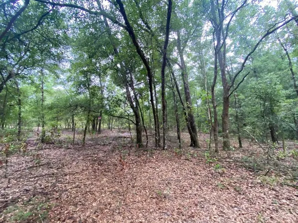 Lot 12 NE 125th Ln, Branford, FL 32008