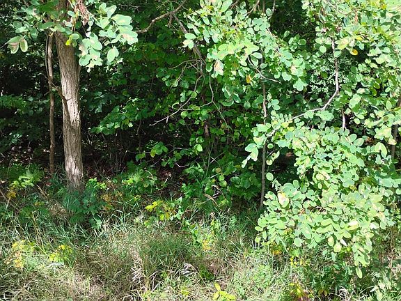 5th image of 55 Knapp Rd