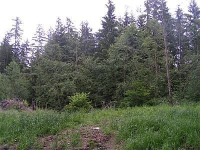 1st image of 1931 185th Ave NE