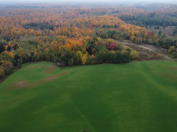 80 Acres Hwy #64, Bryant, WI 54418