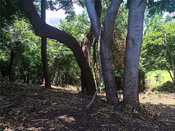 2nd image of 5329 Colony Hill Rd