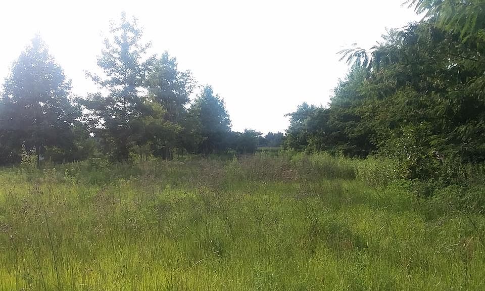2nd image of 1333 McNair Dr